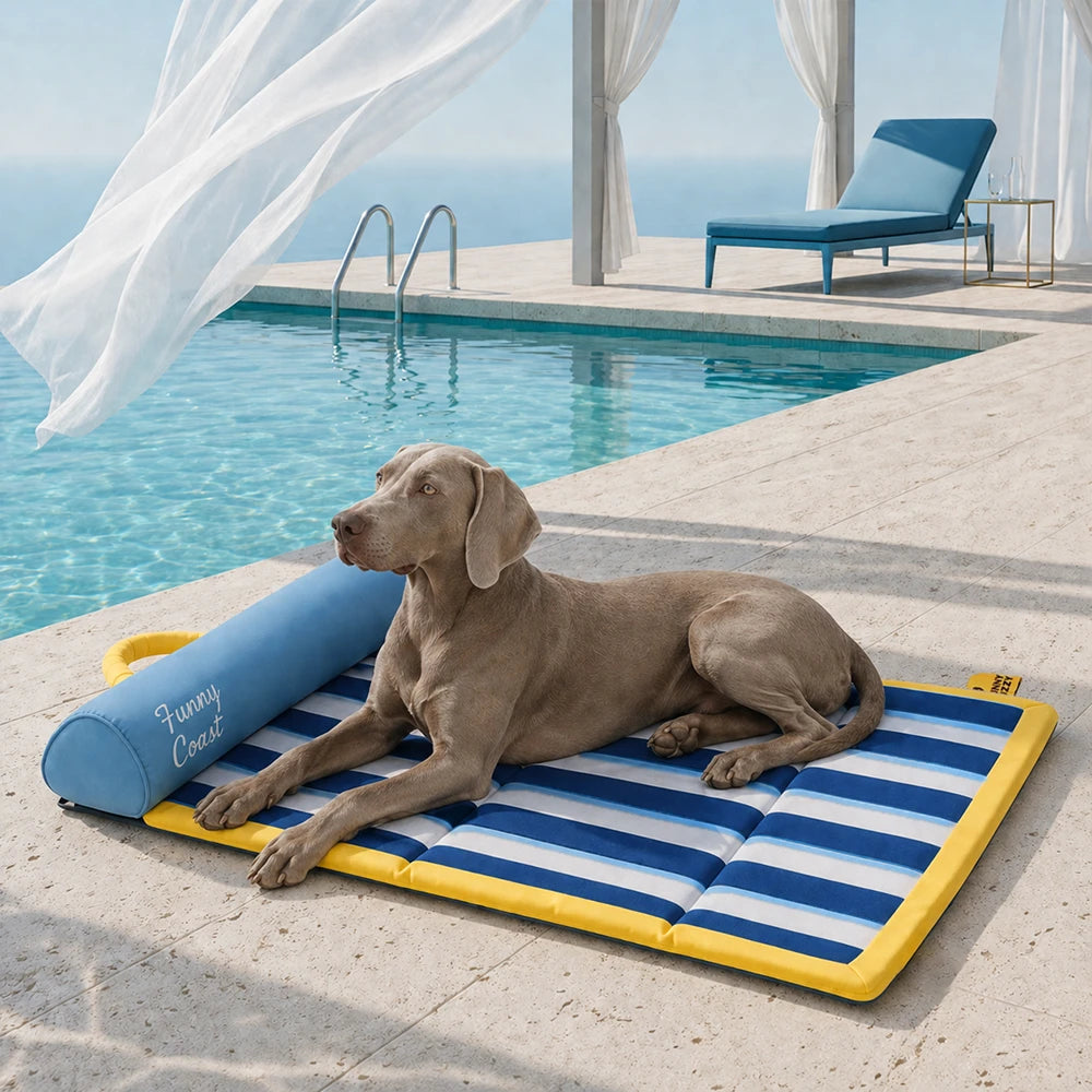 Tapis rafraichissant chien portable pour grand chiens et chat - Chill Nest