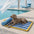 Tapis rafraichissant chien portable pour grand chiens et chat - Chill Nest