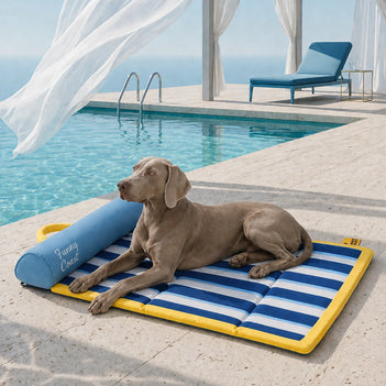 Tapis rafraichissant chien portable pour grand chiens et chat - Chill Nest
