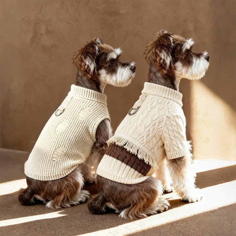Pull pour dachshund et petits à moyens chiens en tricot rétro.