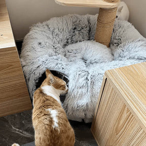 Lit tunnel d'intérieur pour chat rond et doux pliable 2 en 1