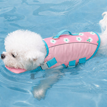 Gilet de sauvetage pour chien à coloris contrastés élégant