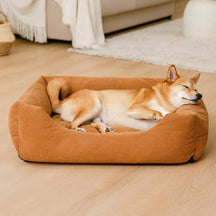 Lit pour chien confortable en velours côtelé détachable résistant aux rayures et respirant