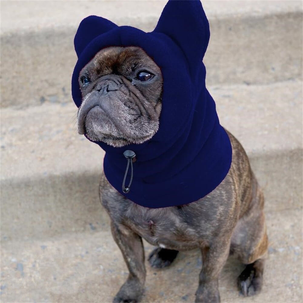 Capuche polaire chien oreilles d'ours couvre-chef hiver amusant confortable