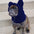 Capuche polaire chien oreilles d'ours couvre-chef hiver amusant confortable