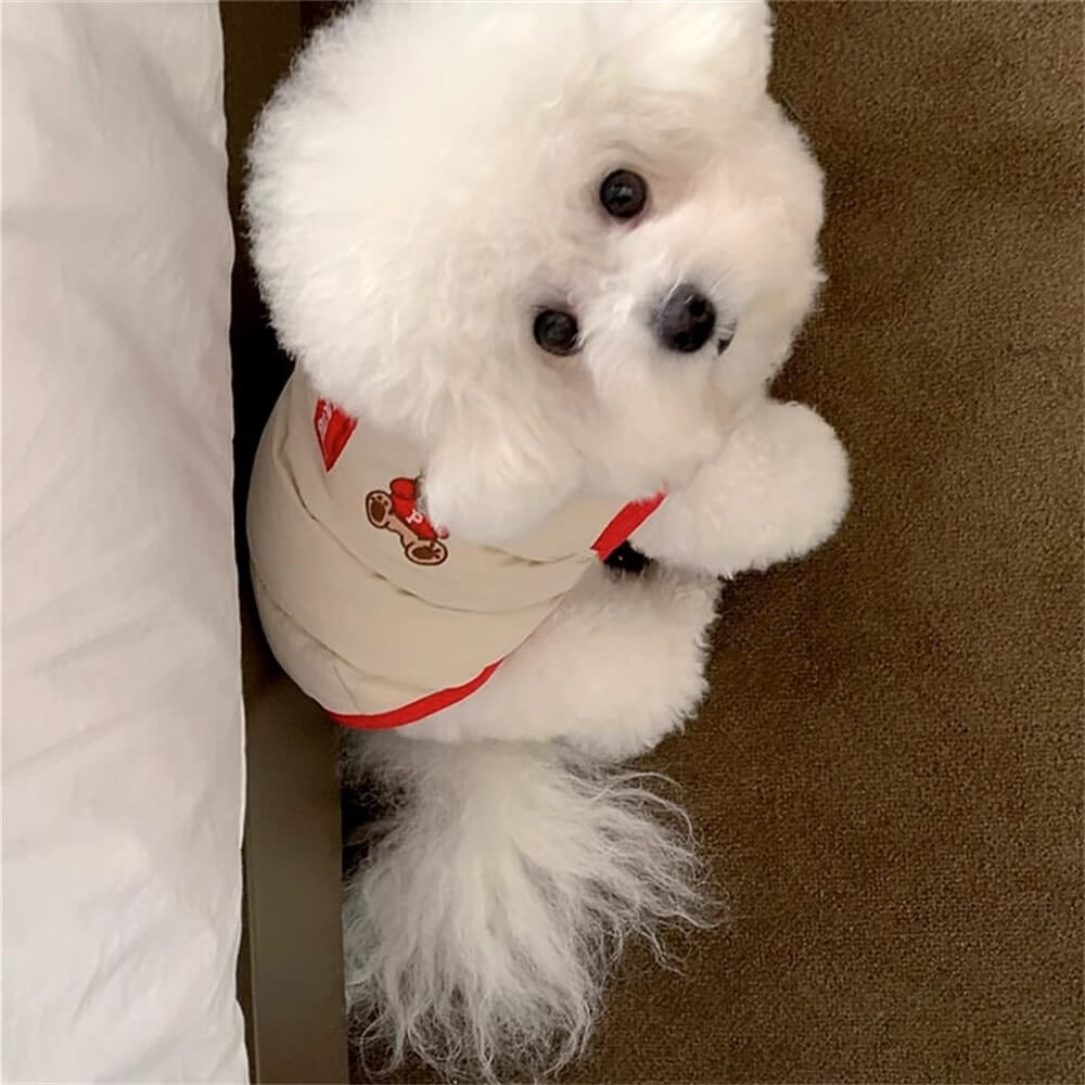 Doudoune Teddy Bear pour chien – Confortable et élégante pour le temps froid