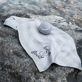Serviette de voyage ultra absorbante et légère pour chien à séchage rapide