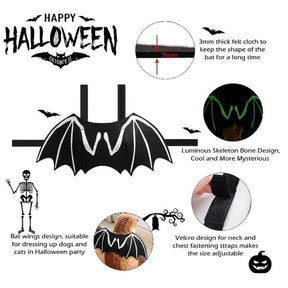 Costume de Chien Halloween Ailes de Chauve-souris Crâne Lumineux | Accessoires de Jeu de Rôle pour Animaux