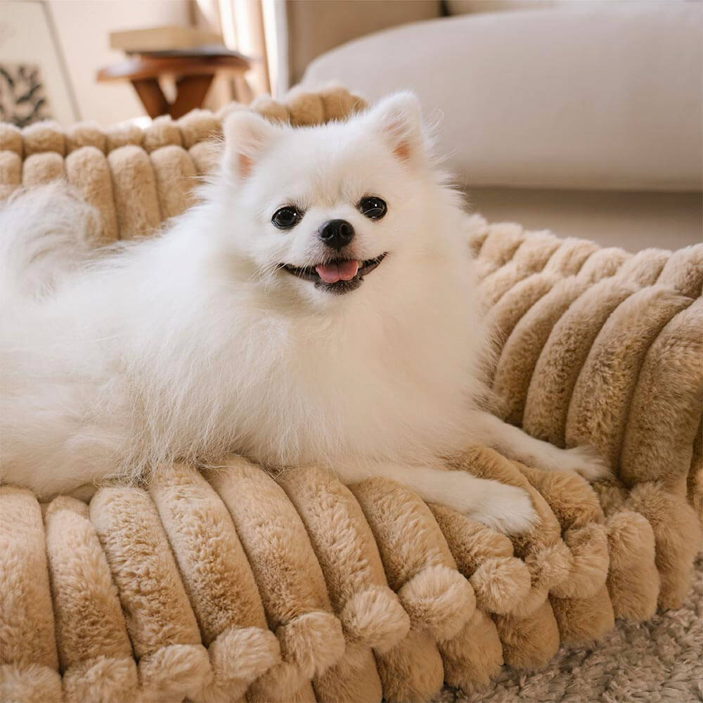 Lit canin orthopédique avec coussin - Snoozy Dream