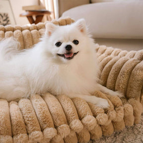 Lit canin orthopédique avec coussin - Snoozy Dream