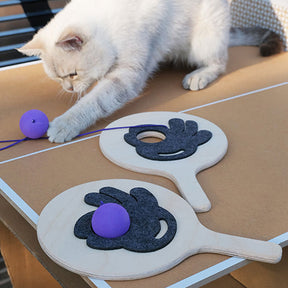 Jouet interactif pour chat avec raquette de ping-pong et corde élastique