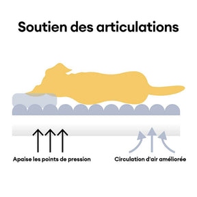 Canapé-lit lavable en peluche pour chien - Crème Douce