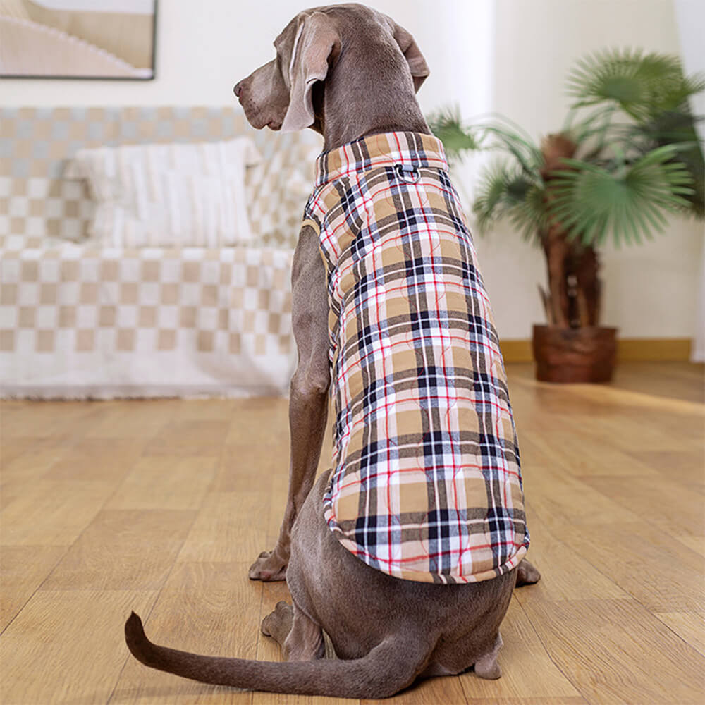 Gilet rembourré à carreaux pour chien style britannique avec anneau en D