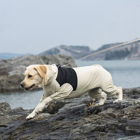 Imperméable pour chien à col roulé et coupe élastique avec bande réfléchissante