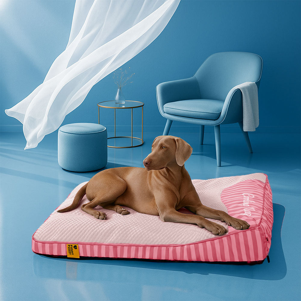 Grand Tapis Rafraichissant Chien Lavable Antidérapant pour Chiens d'Extérieur - Sieste Refroidissante