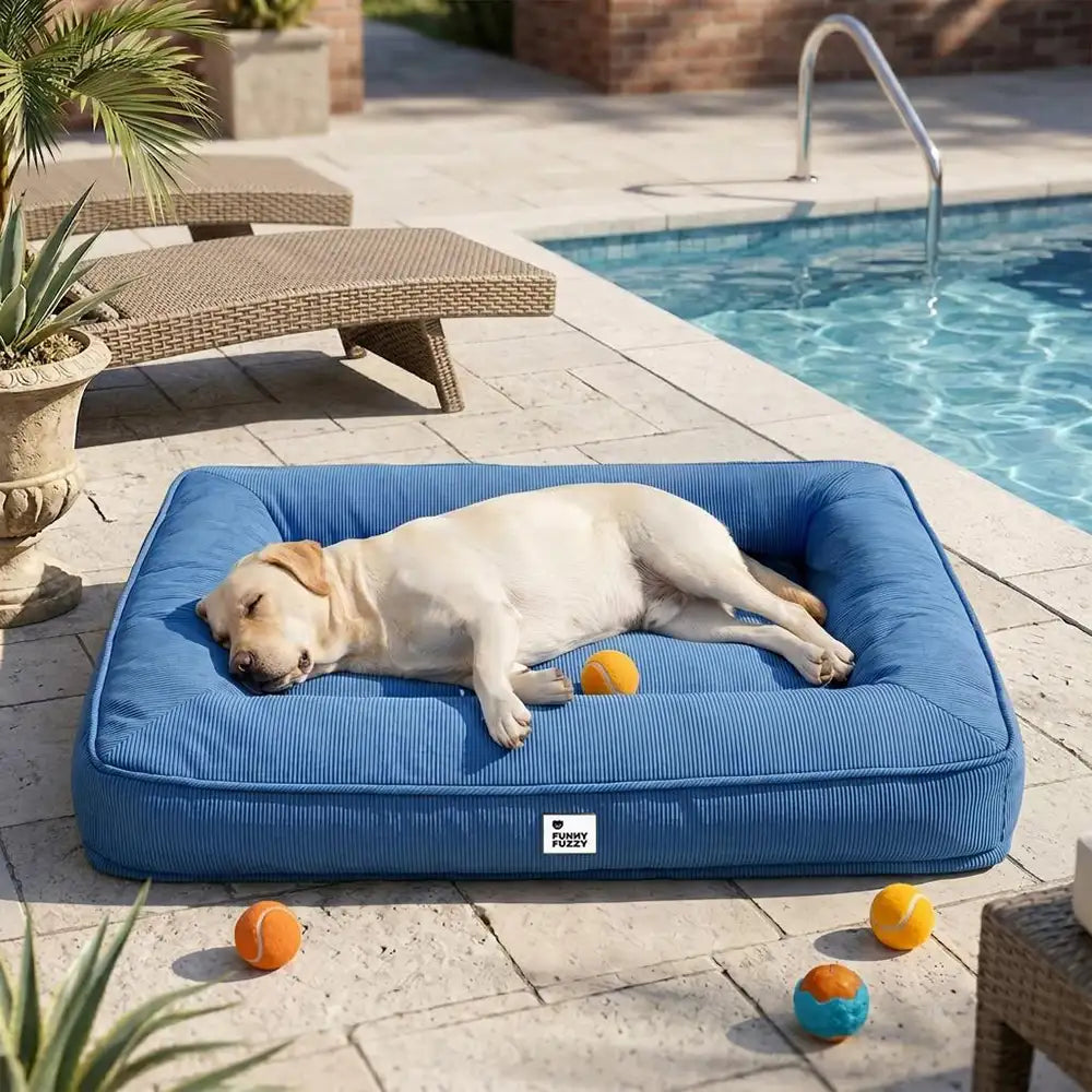 Lit orthopédique pour grand chien imperméable et soutien