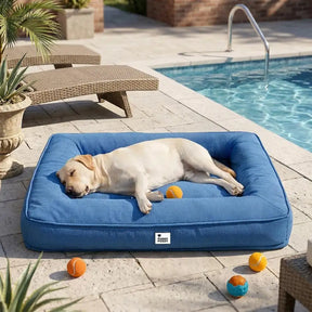 Lit orthopédique pour grand chien imperméable et soutien