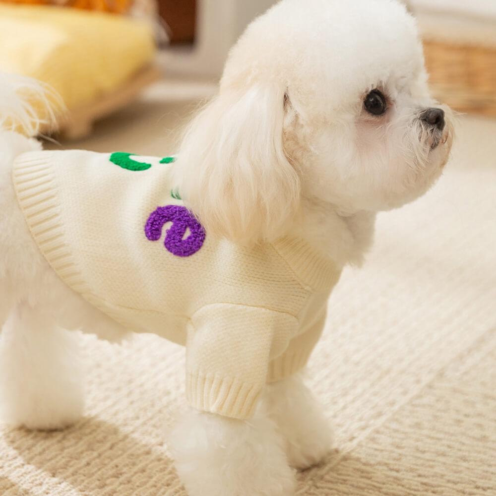 Pull Tricoté pour Chien Pomme Colorée