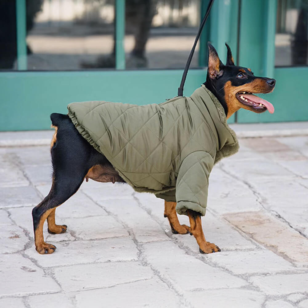 Manteau pour chien en fausse fourrure chaude et confortable avec boutons-pression