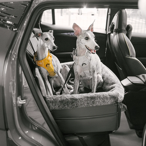 Literie de voiture pour chien avec coussin de sécurité tout au long de l'année - BaseCamp