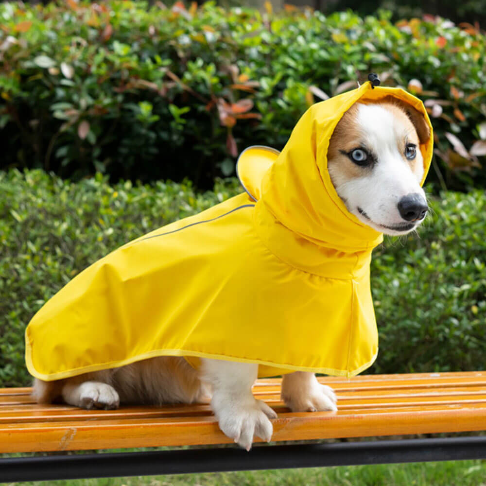 Manteau imperméable pour chien grand format poncho