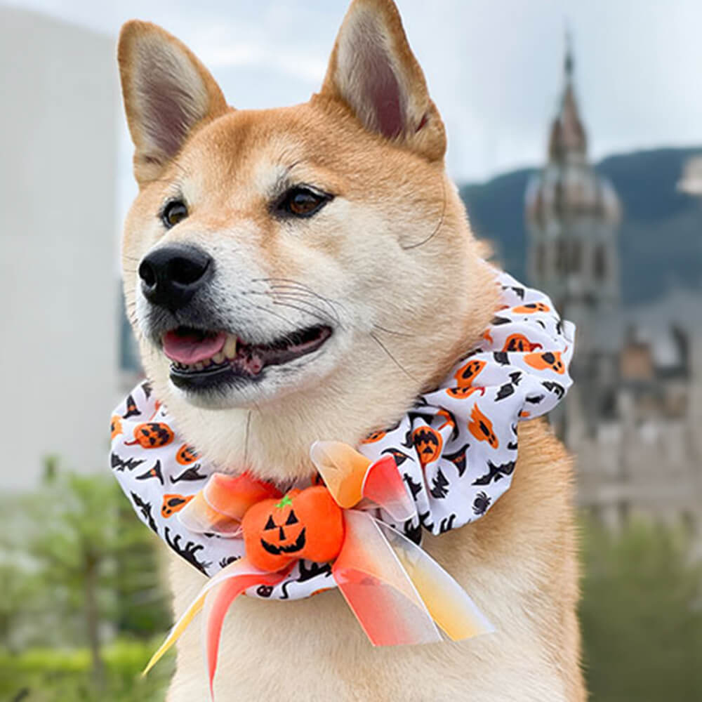 Bandana Chien Halloween Citrouille Volant