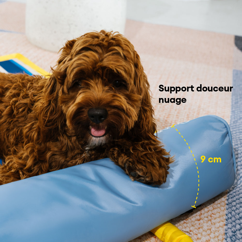 Tapis rafraichissant chien portable pour grand chiens et chat - Chill Nest