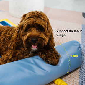 Tapis rafraichissant chien portable pour grand chiens et chat - Chill Nest