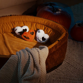 Jouet pour chien en peluche avec couineur FunnyFuzzy