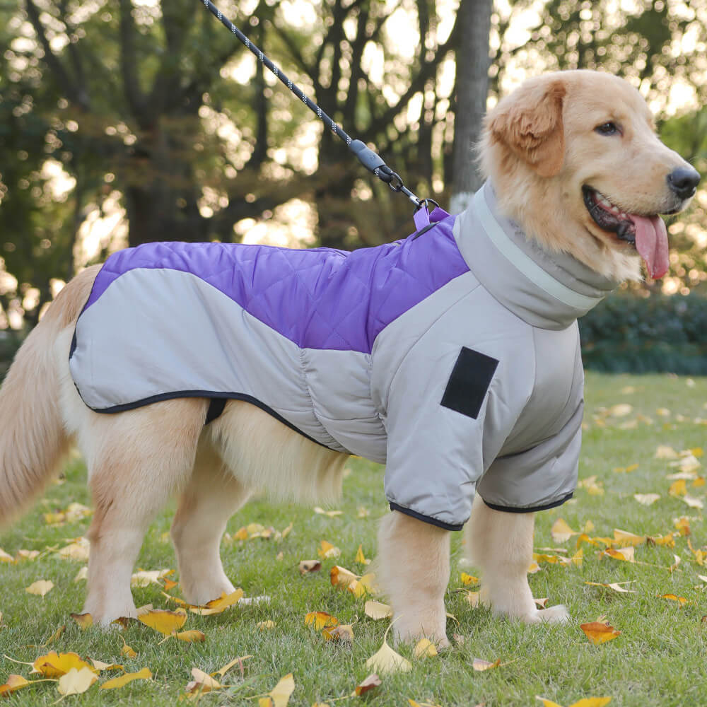 Veste d'hiver réfléchissante en coton pour grand chien idéale pour les sorties en extérieur