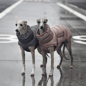 Gilet chaud imperméable et coupe-vent pour un confort hivernal optimal