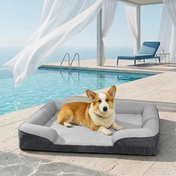 Lit Sofa pour Chien Grand et Lavable Orthopédique Tapis Rafraichissant Chien - Extérieur