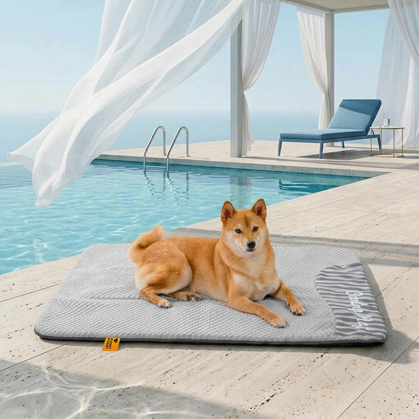 Grand Tapis Rafraichissant Chien Lavable Antidérapant pour Chiens d'Extérieur - Sieste Refroidissante