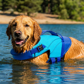 Gilet de sauvetage pour chien avec support de menton amovible