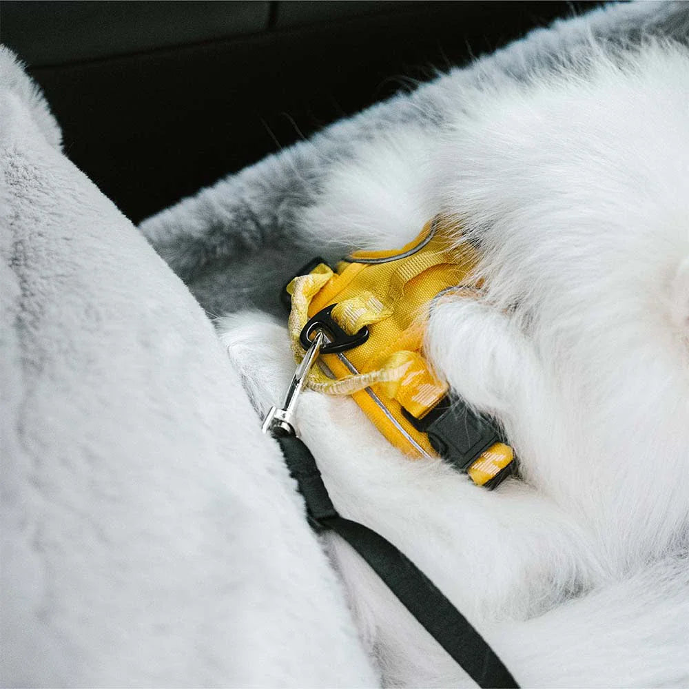 3 en 1 Siège auto pour chien en peluche et chaud - Cruiser d'hiver