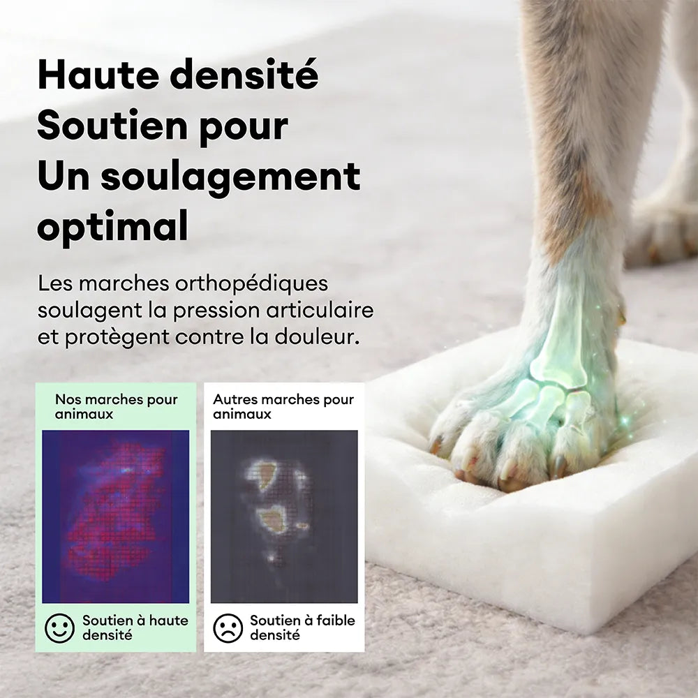 Escaliers pour chien antidérapants extra larges, portables, toutes saisons – Rétro