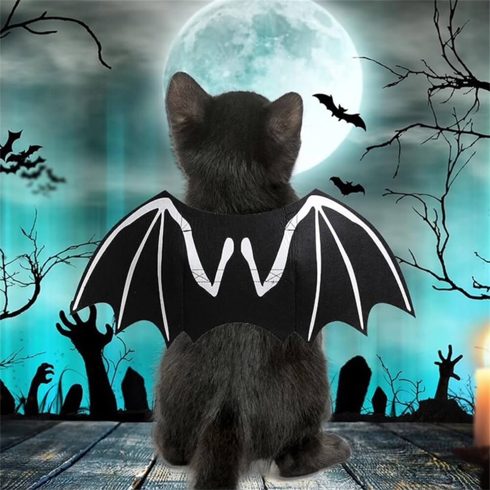 Costume de Chien Halloween Ailes de Chauve-souris Crâne Lumineux | Accessoires de Jeu de Rôle pour Animaux