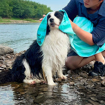 Serviette de voyage ultra absorbante et légère pour chien à séchage rapide