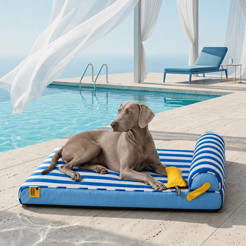 Lit orthopédique tapis rafraichissant grands chien - Chill Nest