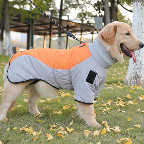 Veste d'hiver réfléchissante en coton pour grand chien idéale pour les sorties en extérieur