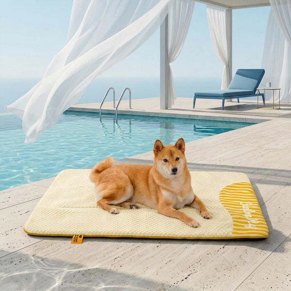 Grand Tapis Rafraichissant Chien Lavable Antidérapant pour Chiens d'Extérieur - Sieste Refroidissante