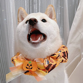 Bandana Chien Halloween Citrouille Volant