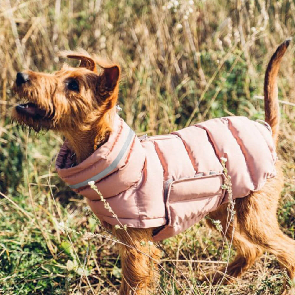 Gilet chaud imperméable et coupe-vent pour un confort hivernal optimal