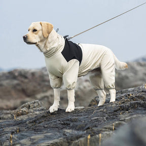 Imperméable pour chien à col roulé et coupe élastique avec bande réfléchissante