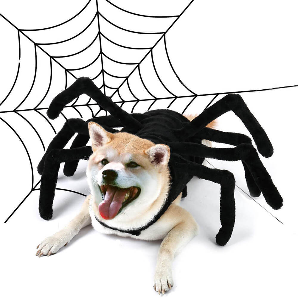 Jouet déguisement d’araignée drôle pour chiens et chats Halloween