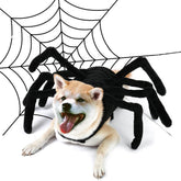 Jouet déguisement d’araignée drôle pour chiens et chats Halloween