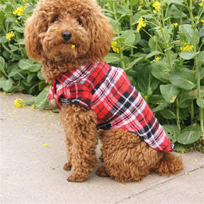 Chemise à carreaux classique pour chien - Confortable et élégante pour toutes les occasions