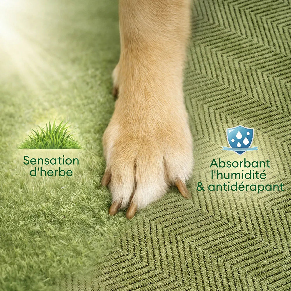 Escaliers pour chien antidérapants extra larges, portables, toutes saisons – Rétro