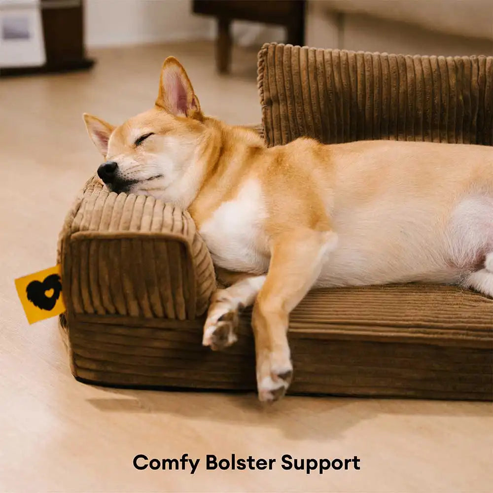 Lit orthopédique pour chien en velours côtelé anti-rayures amovible avec coussin - ComfySofa