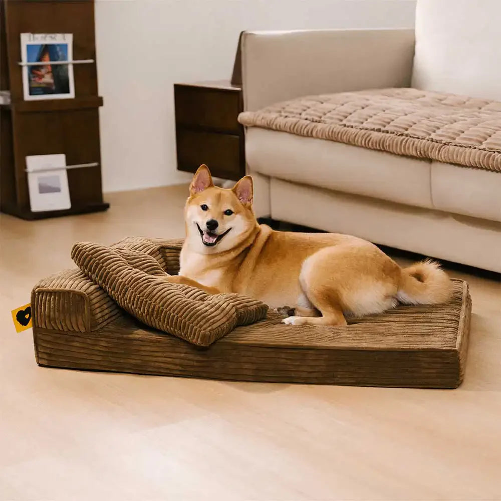 Lit orthopédique pour chien en velours côtelé anti-rayures amovible avec coussin - ComfySofa